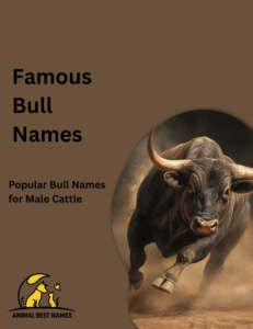 500+ Bull Names – Strong, Funny, Classic & Creative Ideas for Every ...