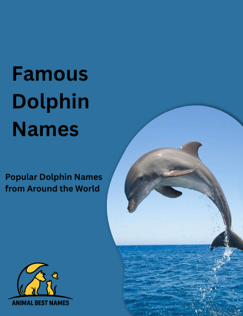 Well-known dolphins from movies and TV, each with distinctive features and playful expressions, swimming together in clear blue water.