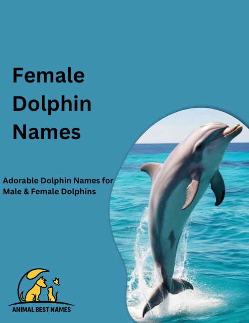Graceful female dolphin swimming smoothly through clear blue ocean water with soft sunlight filtering from above.