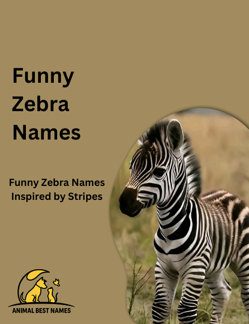 Cartoon zebra with exaggerated stripes, big eyes, and a goofy grin, standing playfully in a bright grassy savannah.
