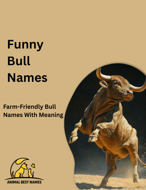 Cartoon bull with round body, tiny horns, and a big goofy smile, standing playfully in a bright farm field.
