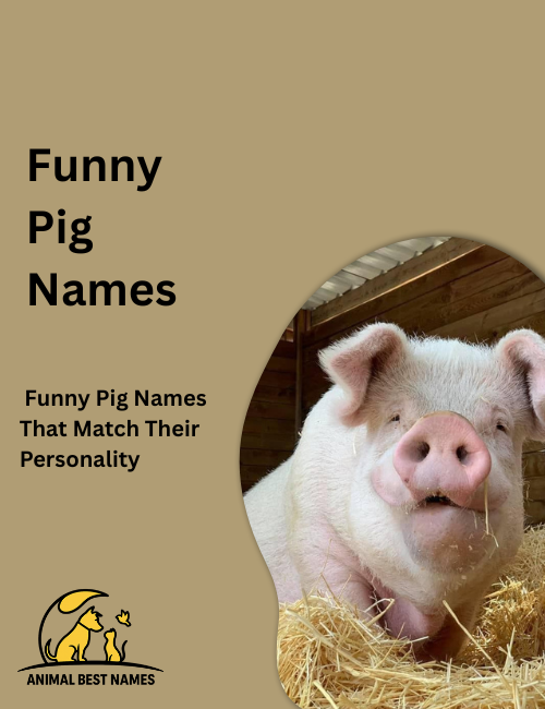 Cartoon pig with a big goofy smile, round belly, and tiny curly tail, standing playfully in a bright farmyard.