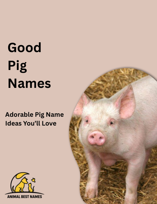 Healthy pink pig standing contentedly in a sunny green pasture, with smooth skin and bright eyes.