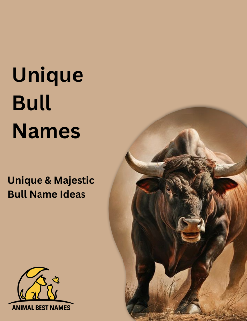 Distinctive bull with unusual coat patterns and sharp curved horns, standing in a wide countryside field.