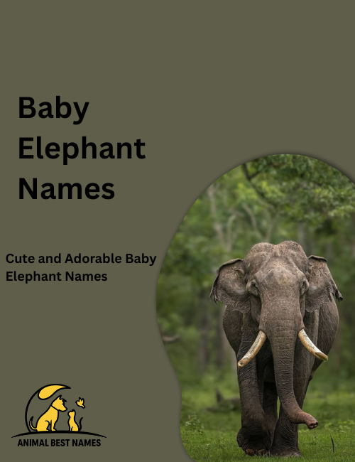 Tiny baby brown rabbit with soft fluffy fur and big round eyes, sitting in a sunlit grassy meadow.