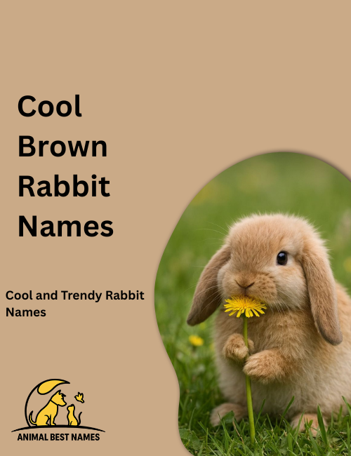 Sleek brown rabbit with smooth fur and confident posture, standing alert in a sunlit grassy meadow.