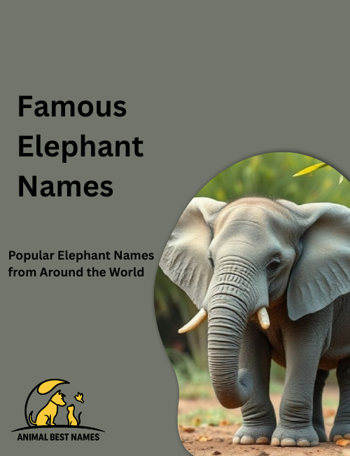 Well-known elephants from movies, cartoons, and history, each with distinctive features, standing together in a bright natural setting.