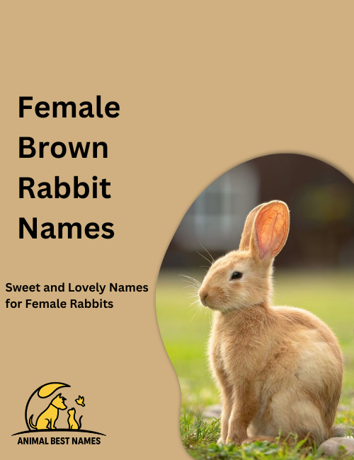 Cute female brown rabbit with soft fur and bright eyes, sitting calmly in a grassy meadow with sunlight filtering through.