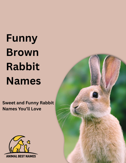 Cartoon brown rabbit with big goofy eyes and a wide smile, hopping playfully in a bright grassy field.