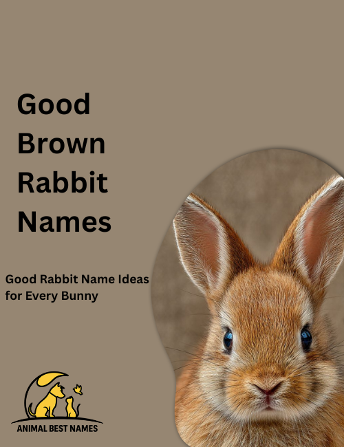 Healthy brown rabbit with soft fur and bright eyes, sitting contentedly in a sunlit green meadow.