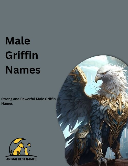 Powerful male griffin with strong lion body and wide eagle wings, standing proudly in a golden fantasy landscape.