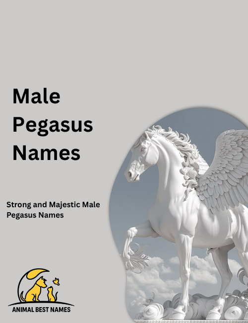 Strong male Pegasus with broad wings and a powerful flowing mane, flying confidently above clouds in a bright sky.