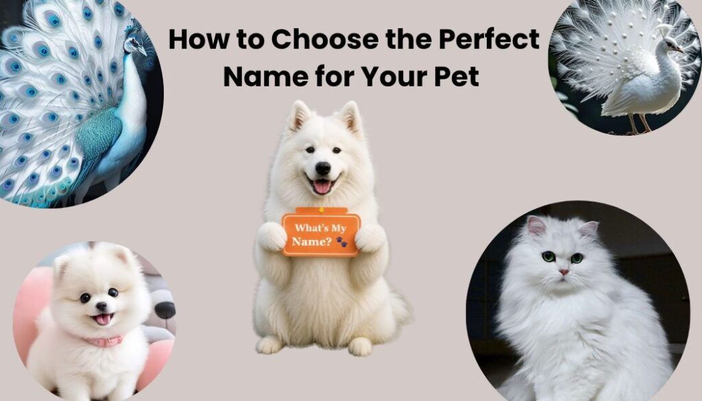 White dog holding a What’s My Name sign in the center, surrounded by peacock, white bird, kitten, and puppy images on a soft background.