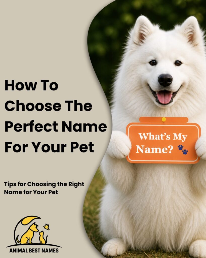 Fluffy white dog holding an orange sign that says What’s My Name with a pet naming guide title on the side.